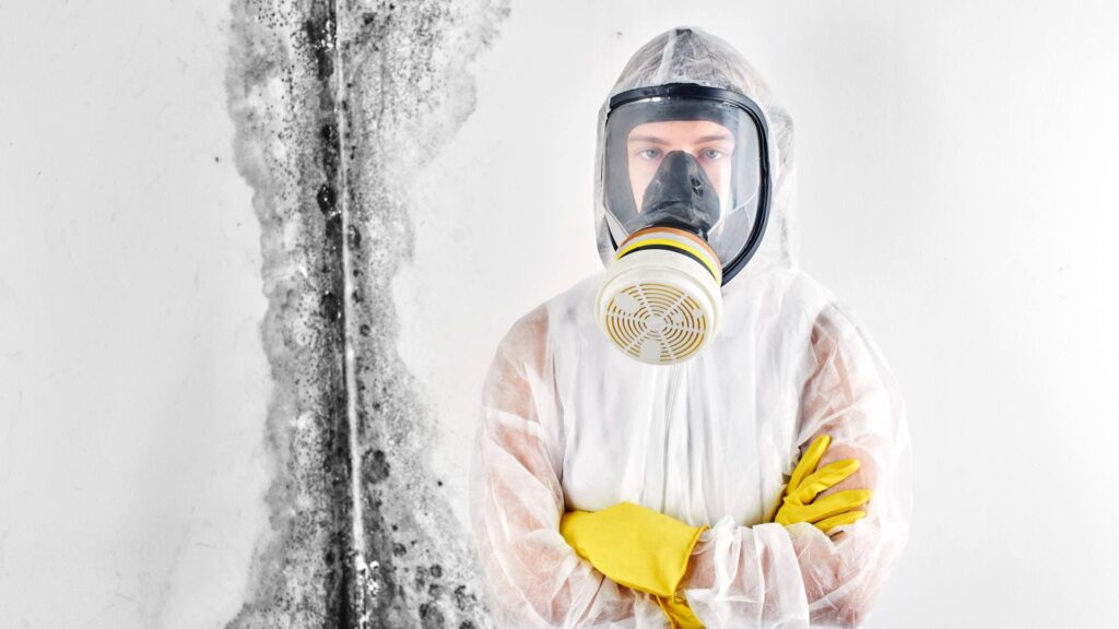 mold removal in vancouver with novaco restoration 24/7