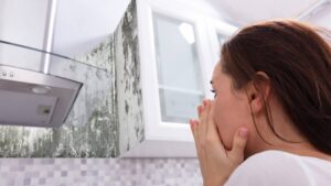 Before and after comparison of mold remediation results in a Vancouver kitchen