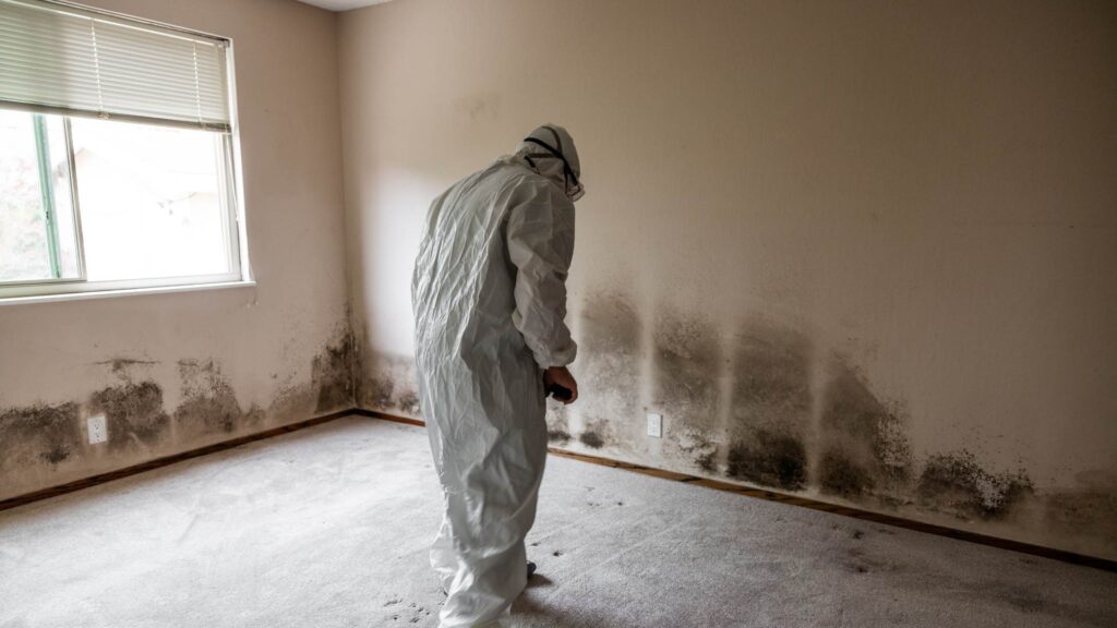 Airborne mold spores spreading inside a Vancouver home during humid weather
