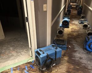 Technician inspecting water-damaged floor joists during residential restoration in Vancouver water damage