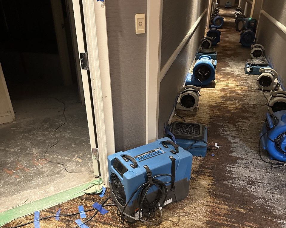 Technician inspecting water-damaged floor joists during residential restoration in Vancouver water damage