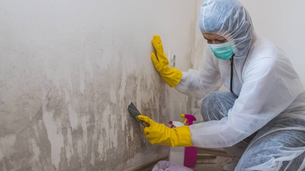 Novaco Restoration technician inspecting visible mold growth on drywall in a Vancouver home