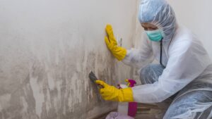 Novaco Restoration technician inspecting visible mold growth on drywall in a Vancouver home