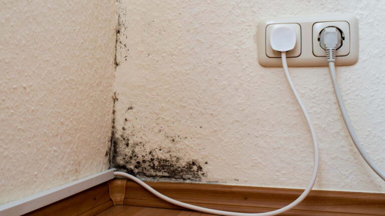 Discover the top 10 warning signs of hidden mold in Vancouver homes. Learn symptoms, risks, and when to call Novaco Restoration for 24/7 mold remediation. Call 604-400-4800.