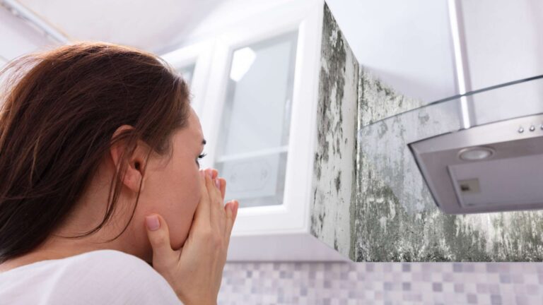 Black Mold Removal & Remediation in Vancouver | Novaco