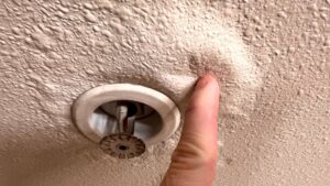 Water Damage in Vancouver Homes and How to Handle It Fast