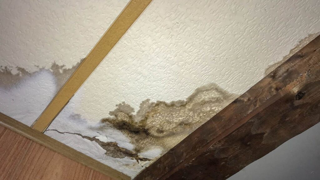 Water Damage in west vancouver in park royal