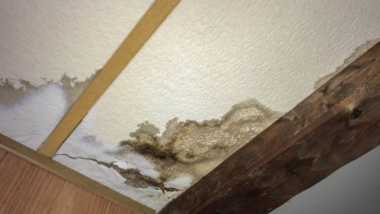 Water Damage in west vancouver in park royal