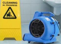 Professional commercial dehumidifier used during water damage restoration and mold remediation to control humidity and assist with drying affected building materials.